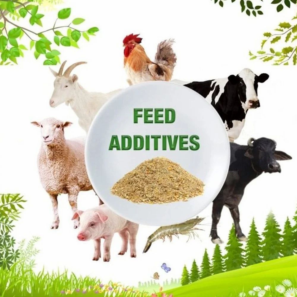Food & Feed Additives
